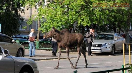 ���� � ������������