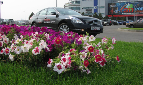 - Nissan Teana